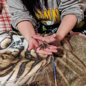 Meet your Posher, Chelsie